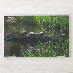 Row of Turtles Green Nature Photo HP Laptop Skin