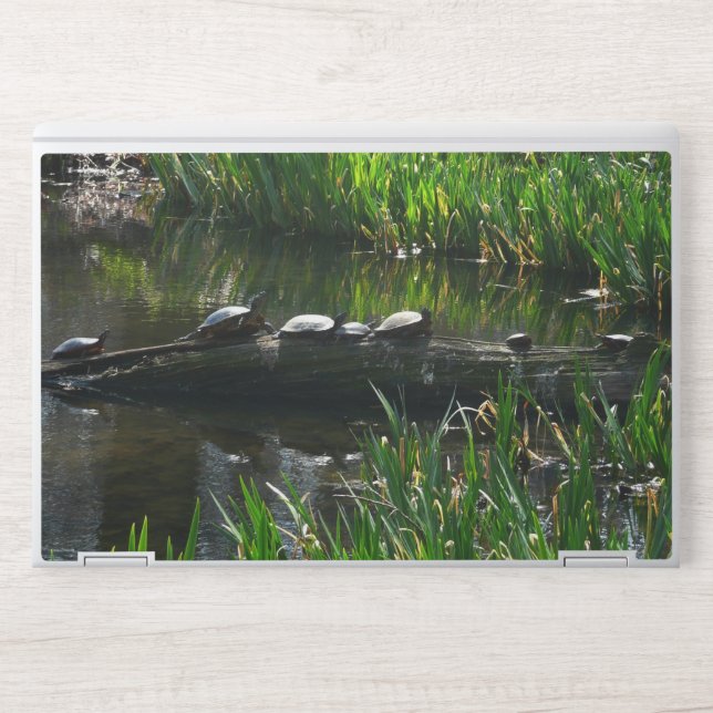 Row of Turtles Green Nature Photo HP Laptop Skin (Front)