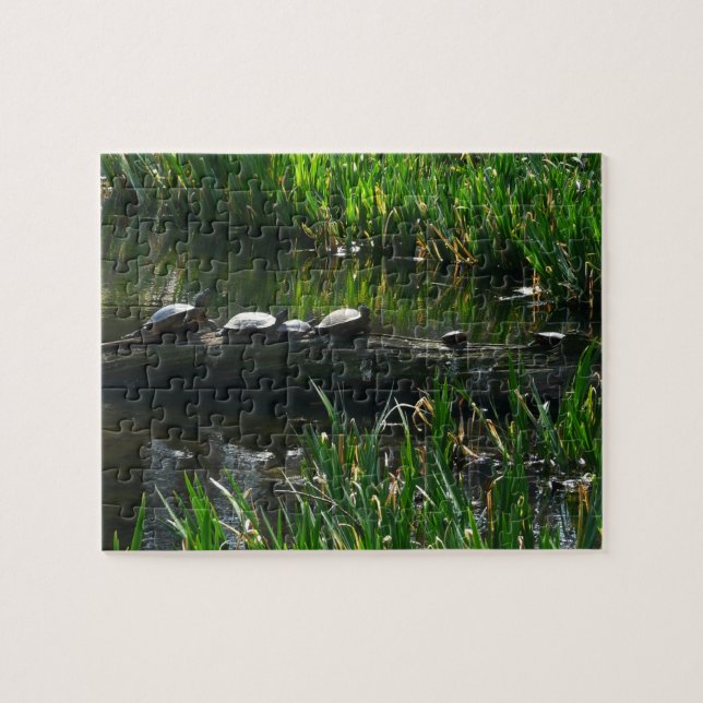 Row of Turtles Green Nature Photo Jigsaw Puzzle (Horizontal)
