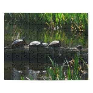 Row of Turtles Green Nature Photo Jigsaw Puzzle