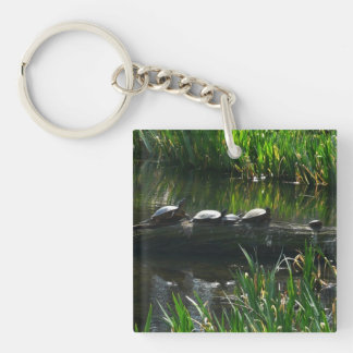 Row of Turtles Green Nature Photo Keychain