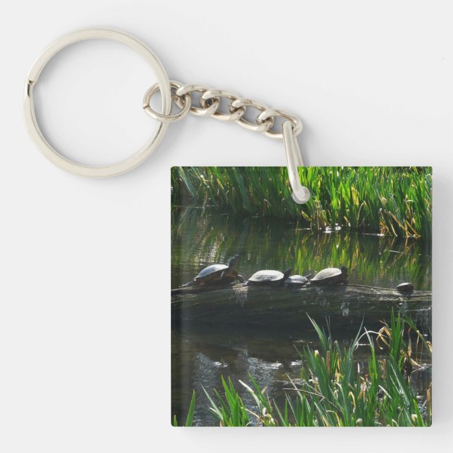 Row of Turtles Green Nature Photo Keychain (Front)