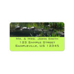 Row of Turtles Green Nature Photo Label