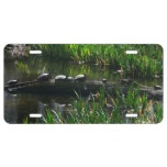 Row of Turtles Green Nature Photo License Plate