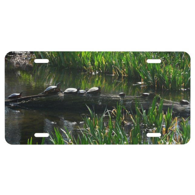 Row of Turtles Green Nature Photo License Plate (Front)