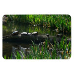 Row of Turtles Green Nature Photo Magnet