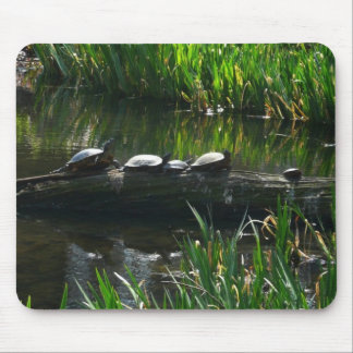Row of Turtles Green Nature Photo Mouse Pad