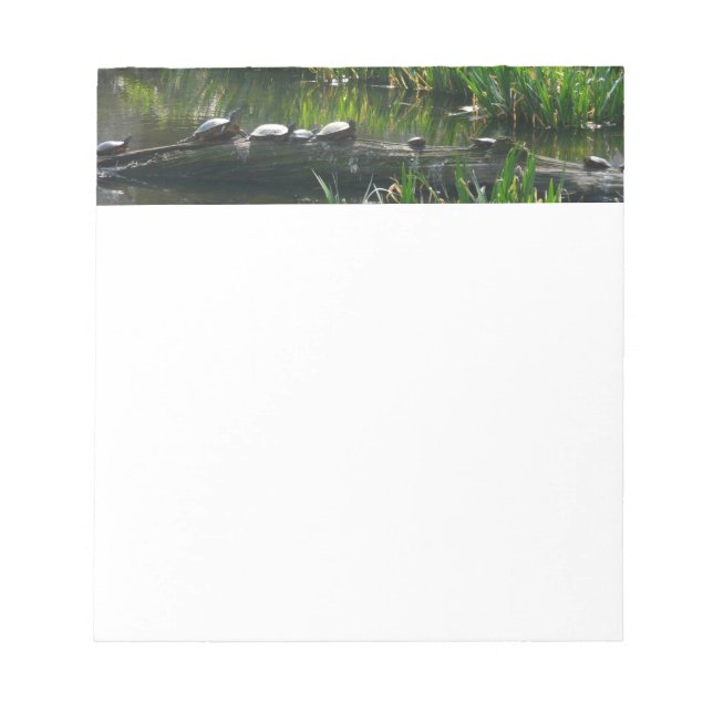 Row of Turtles Green Nature Photo Notepad (Front)