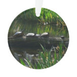 Row of Turtles Green Nature Photo Ornament
