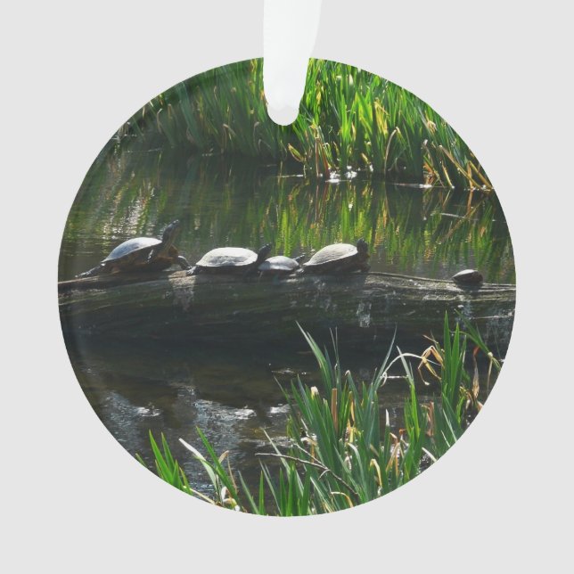 Row of Turtles Green Nature Photo Ornament (Front)