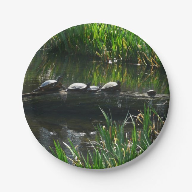 Row of Turtles Green Nature Photo Paper Plates (Front)