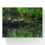 Row of Turtles Green Nature Photo Paperweight