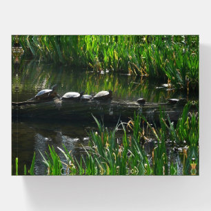 Row of Turtles Green Nature Photo Paperweight