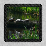 Row of Turtles Green Nature Photo Patch