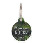 Row of Turtles Green Nature Photo Pet ID Tag
