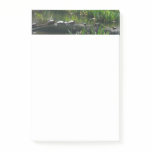 Row of Turtles Green Nature Photo Post-it Notes