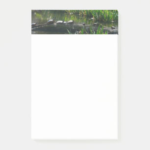 Row of Turtles Green Nature Photo Post-it Notes