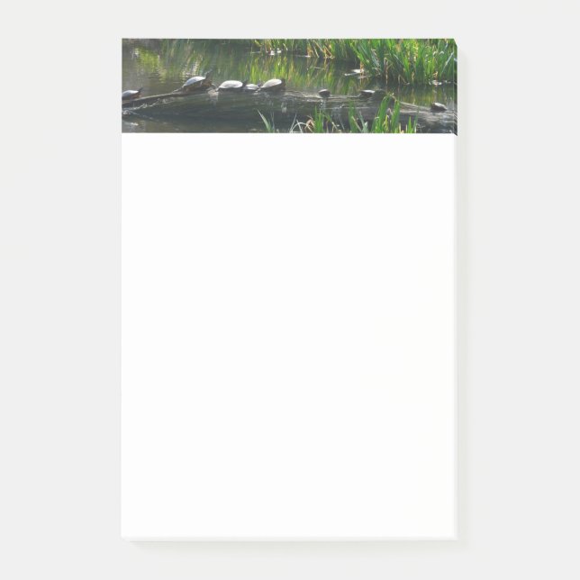 Row of Turtles Green Nature Photo Post-it Notes (Front)