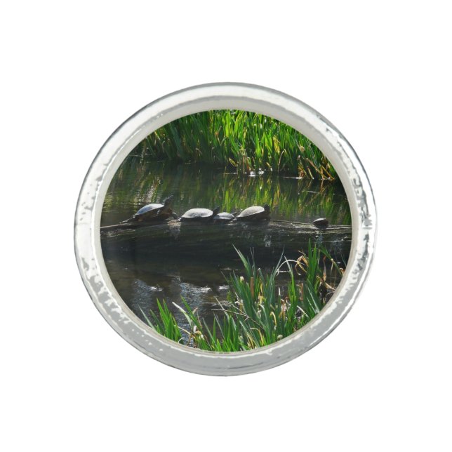Row of Turtles Green Nature Photo Ring (Front)
