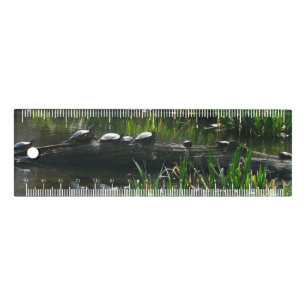 Row of Turtles Green Nature Photo Ruler