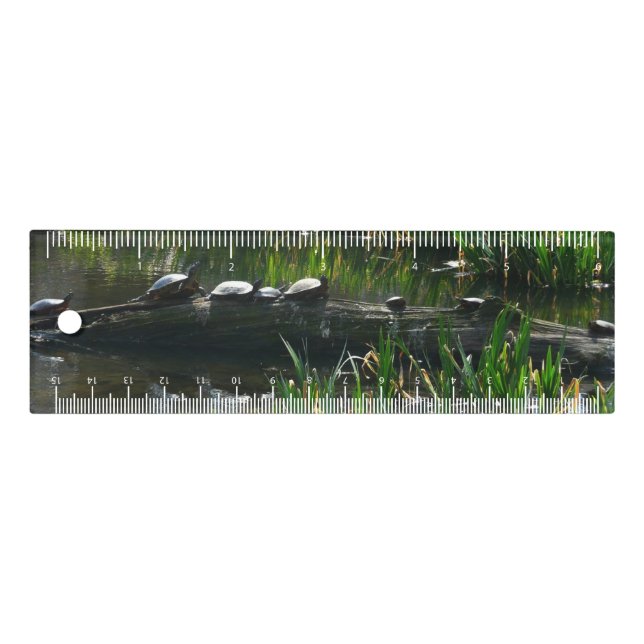 Row of Turtles Green Nature Photo Ruler (Front)