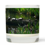 Row of Turtles Green Nature Photo Scented Candle