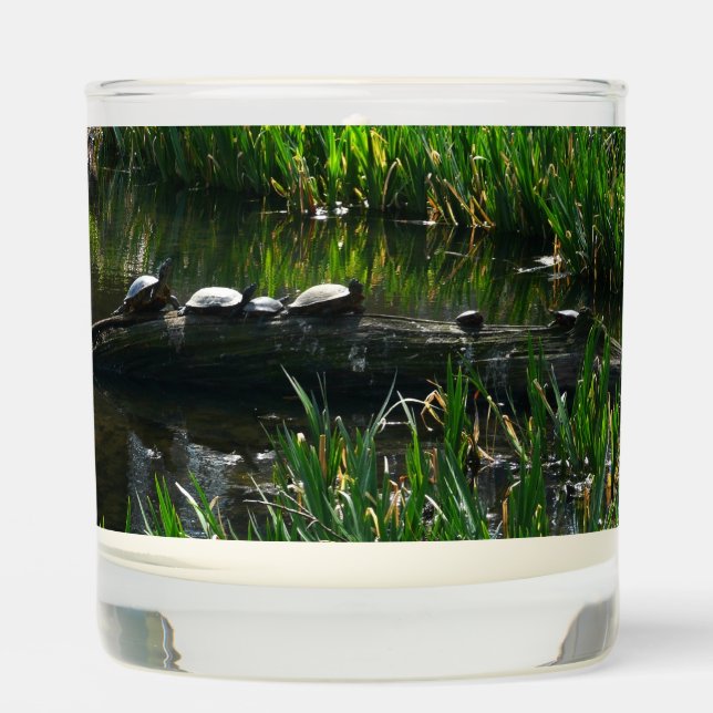 Row of Turtles Green Nature Photo Scented Candle (Front)