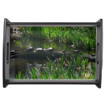 Row of Turtles Green Nature Photo Serving Tray