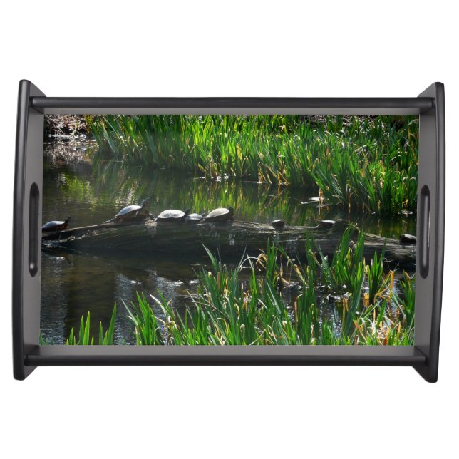 Row of Turtles Green Nature Photo Serving Tray (Front)