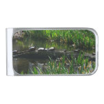 Row of Turtles Green Nature Photo Silver Finish Money Clip