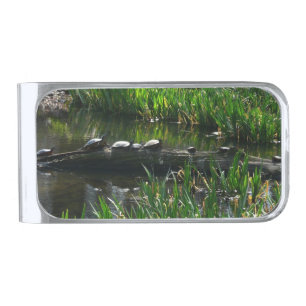 Row of Turtles Green Nature Photo Silver Finish Money Clip