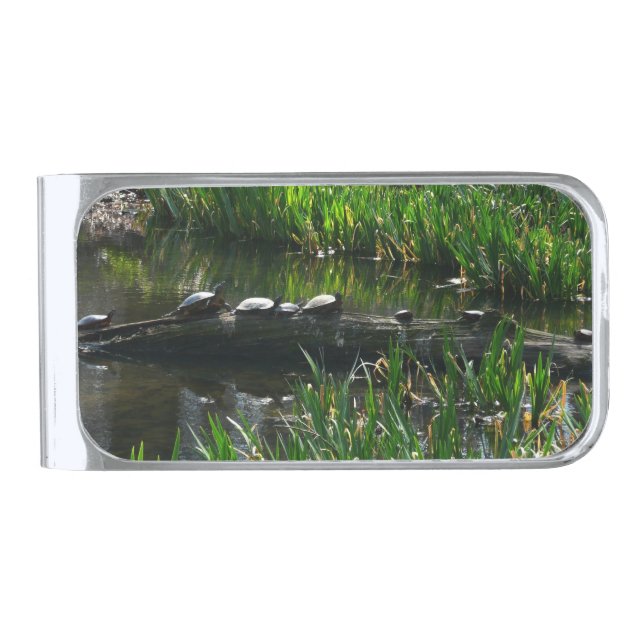 Row of Turtles Green Nature Photo Silver Finish Money Clip (Front)