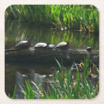 Row of Turtles Green Nature Photo Square Paper Coaster