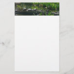Row of Turtles Green Nature Photo Stationery