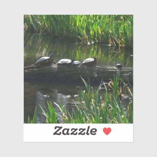 Row of Turtles Green Nature Photo Sticker