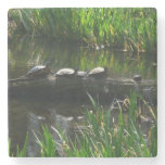 Row of Turtles Green Nature Photo Stone Coaster