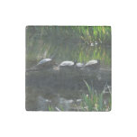 Row of Turtles Green Nature Photo Stone Magnet