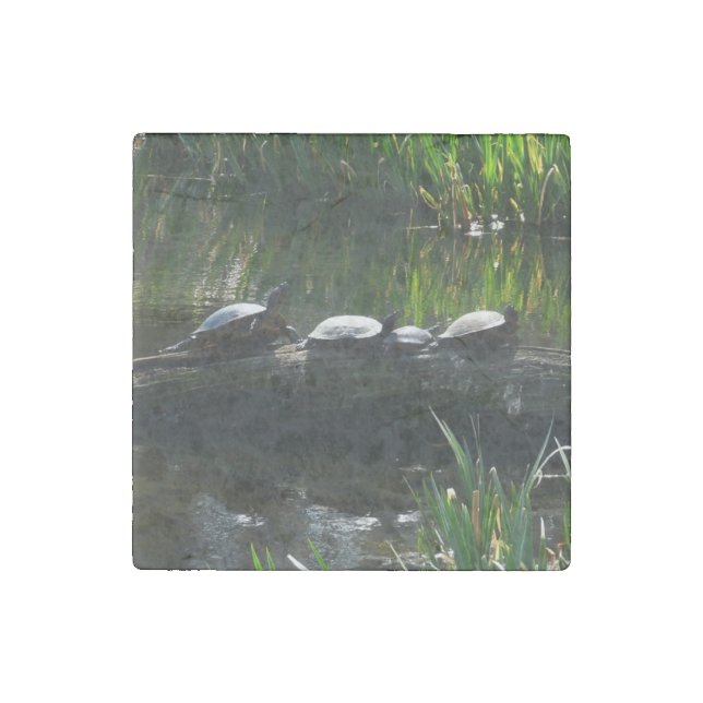 Row of Turtles Green Nature Photo Stone Magnet (Front)