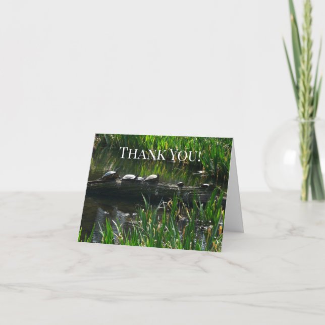 Row of Turtles Green Nature Photo Thank You Card (Front)