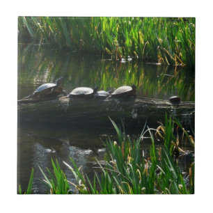 Row of Turtles Green Nature Photo Tile