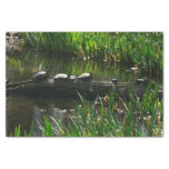 Row of Turtles Green Nature Photo Tissue Paper