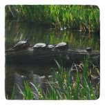 Row of Turtles Green Nature Photo Trivet