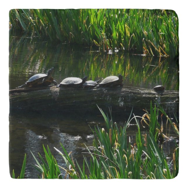 Row of Turtles Green Nature Photo Trivet (Front)