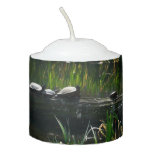 Row of Turtles Green Nature Photo Votive Candle