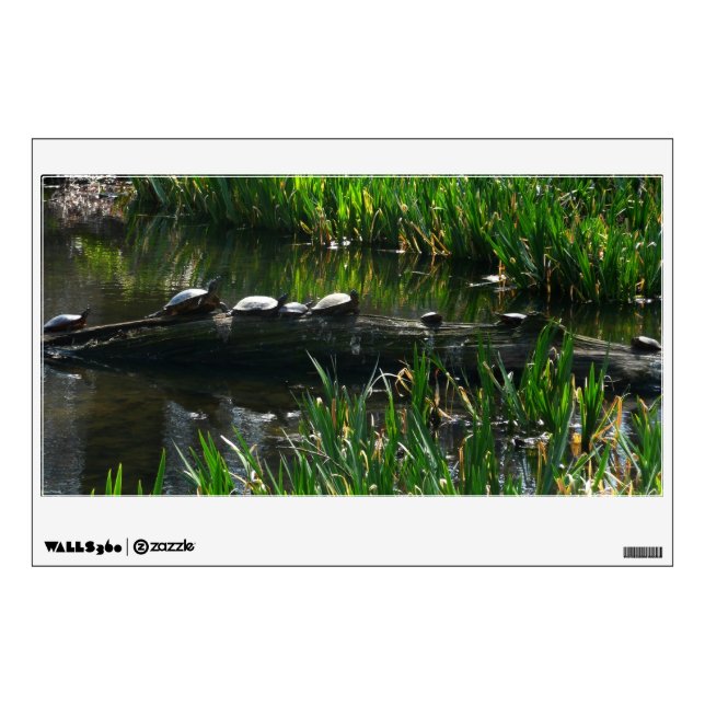 Row of Turtles Green Nature Photo Wall Sticker (Front)