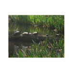 Row of Turtles Green Nature Photo Wood Poster