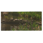 Row of Turtles Green Nature Photo Wood USB Flash Drive