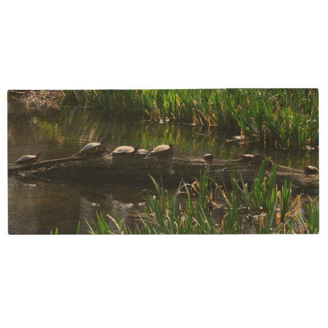 Row of Turtles Green Nature Photo Wood USB Flash Drive (Front)