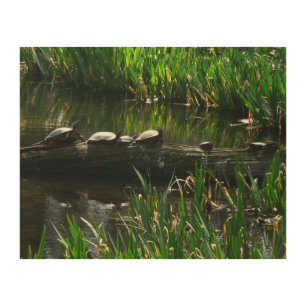 Row of Turtles Green Nature Photo Wood Wall Art
