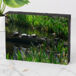 Row of Turtles Green Nature Photo Wooden Box Sign